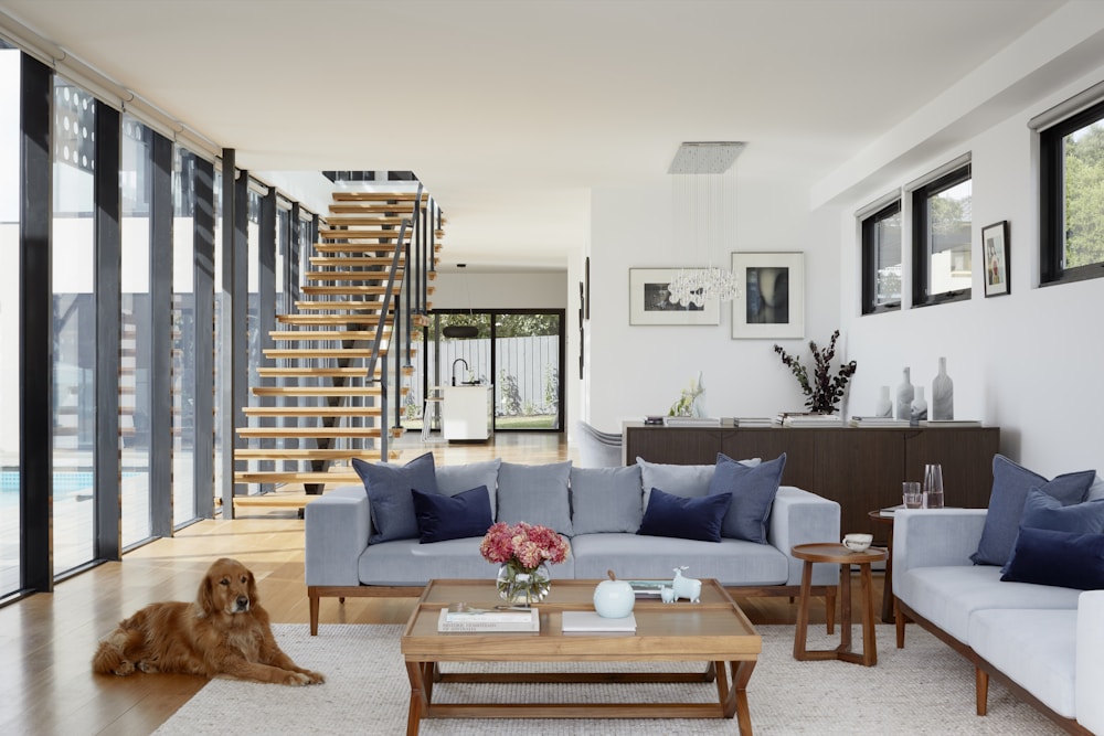 Bright modern apartment interior